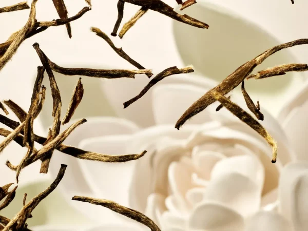 Rituals Cartridge | Diffusore Per Aromaterapia