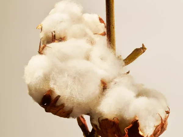 Rituals Cotton Blossom Home Perfume | Spray Per L'Ambiente