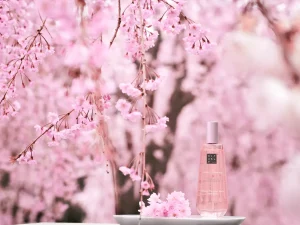 Rituals Dry Body Oil | Cura Del Corpo