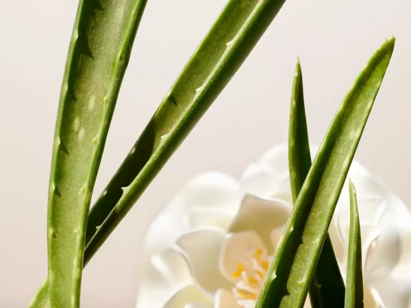 Rituals Facial Toner | Make-Up | Skincare Per Lei