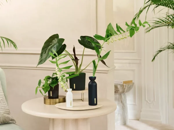 Rituals Fragrance Sticks | Bastoncini Profumati