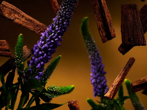 Rituals Fragrance Sticks | Bastoncini Profumati