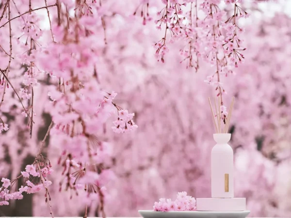 Rituals Mini Fragrance Sticks | Bastoncini Profumati