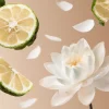 Rituals Soleil d'Or | Profumo