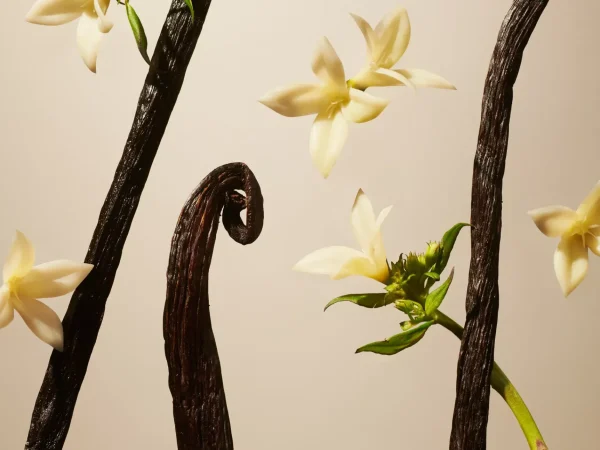 Rituals Suede Vanilla Refill Fragrance Sticks | Bastoncini Profumati
