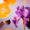 Rituals Travel - Bois Royal | Profumo | Cura Del Corpo