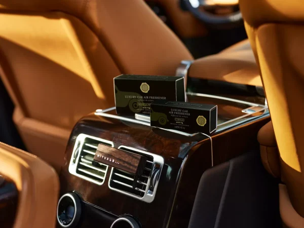 Rituals Wild Fig Car Air Freshener Refill | Fragranze Per Auto